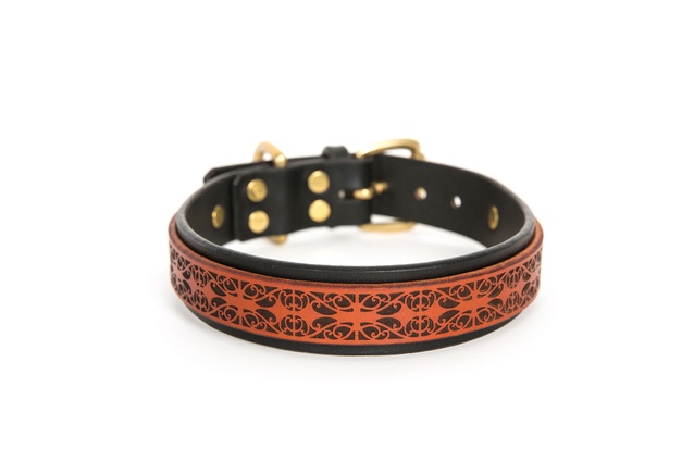 Koru King Leather Collar – Chestnut Bridle
by Mo’woof Collar Co
|
<a
href="
https://themarketnz.com/products/the-koru-king" target="_blank"><u> $119 from The Market NZ </u></a>