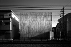 Taira Nishizawa - Wooden works