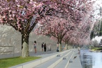 Critique of the unbuilt