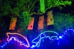 Splore Festival 2012