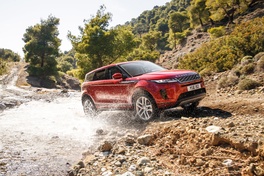 Novelnyt Drive: August edition