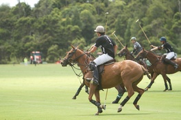 Giveaway: Land Rover NZ Polo Open in Auckland