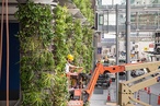 Green streets