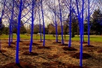 The Blue Trees