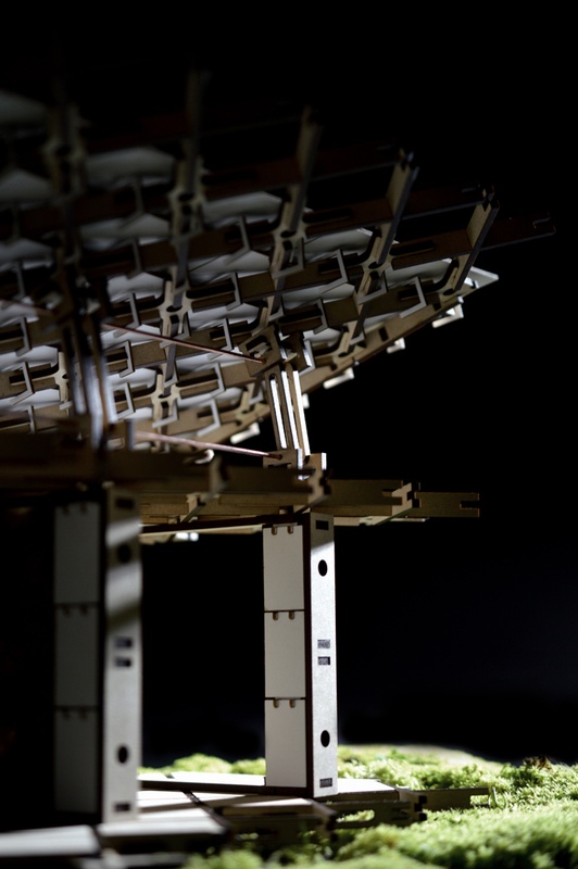 Show Us Your Thesis Ged Finch Architecture Now