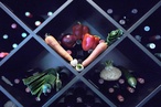 Urbis' top picks: Wellington on a Plate